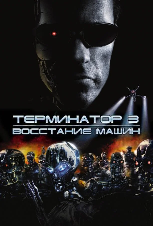 Кто Вы, Мистер Брукс? (2007)