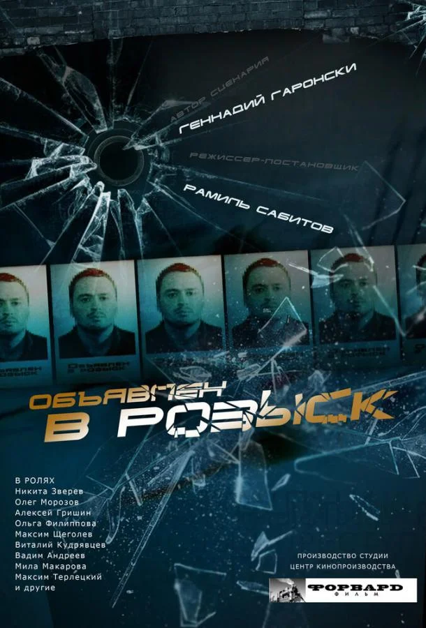 Объявлен в розыск (2010) 1 сезон 12 серия